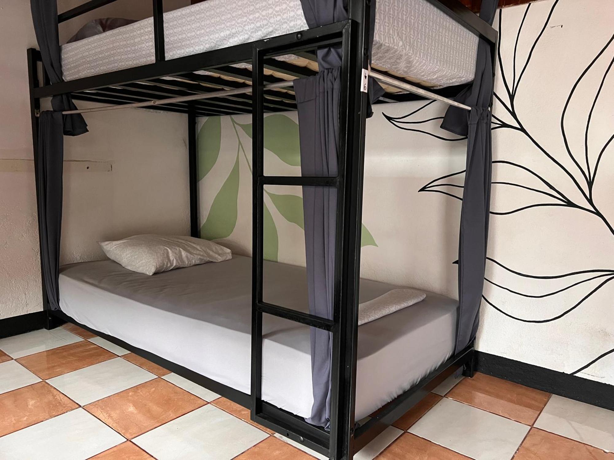 Rio Danta Hostel La Fortuna 외부 사진
