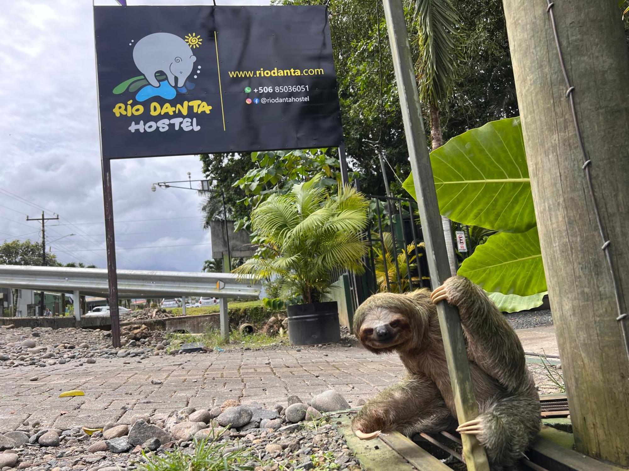 Rio Danta Hostel La Fortuna 외부 사진